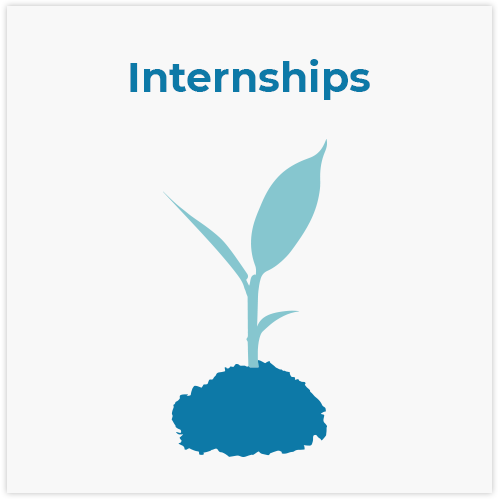 4-Internships